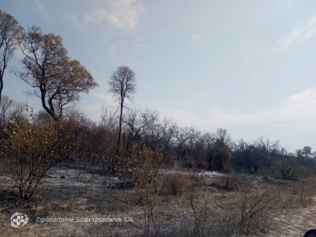 Las Hacheras